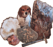 Maggie, The Rockhound